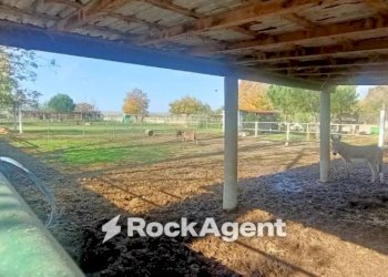 Veranda - Terreno agricolo via Campanella, Suardi - foto 4