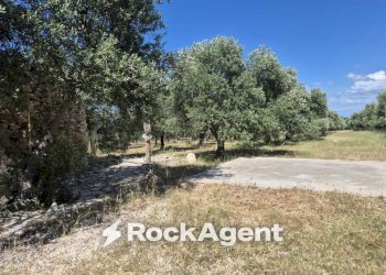 Terreno - Rustico viale Pandolfelli, Andria - foto 9