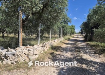 Terreno - Rustico viale Pandolfelli, Andria - foto 10