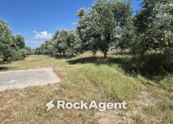 Terreno - Rustico viale Pandolfelli, Andria - foto 11