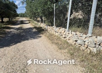 Terreno - Rustico viale Pandolfelli, Andria - foto 12