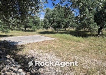 Terreno - Rustico viale Pandolfelli, Andria - foto 13