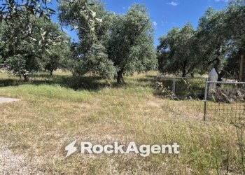 Terreno - Rustico viale Pandolfelli, Andria - foto 15