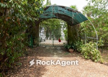 Giardino - Villa via Poggio alla Pietra, 9, Lajatico - foto 20