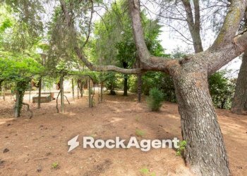 Terreno - Villa via Poggio alla Pietra, 9, Lajatico - foto 25