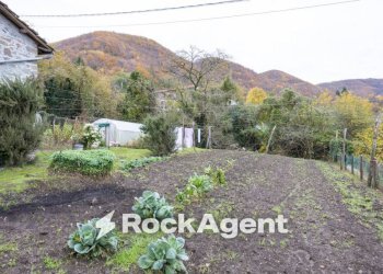 Terreno - Rustic Località Villa Regnano, Casola in Lunigiana - photo 10