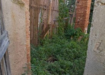 Giardino - Appartamento via Vittorio Niccoli, 72, Castelfiorentino - foto 10