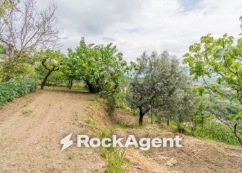 Terreno - Rustico via Picarella 21, Salerno - foto 35