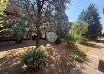 Trilocale Via Monte Santo, Paderno Dugnano - foto 5
