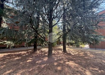 Trilocale Via Monte Santo, Paderno Dugnano - foto 11