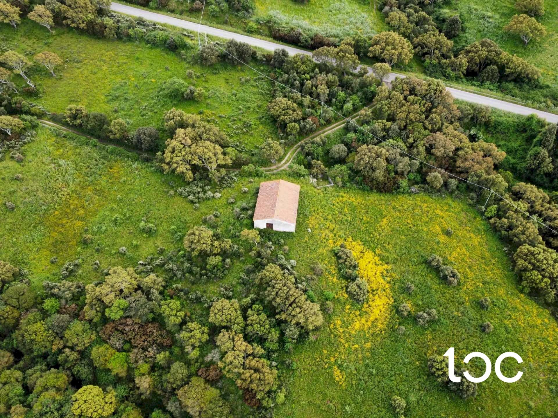 Building land Aggius - photo 1