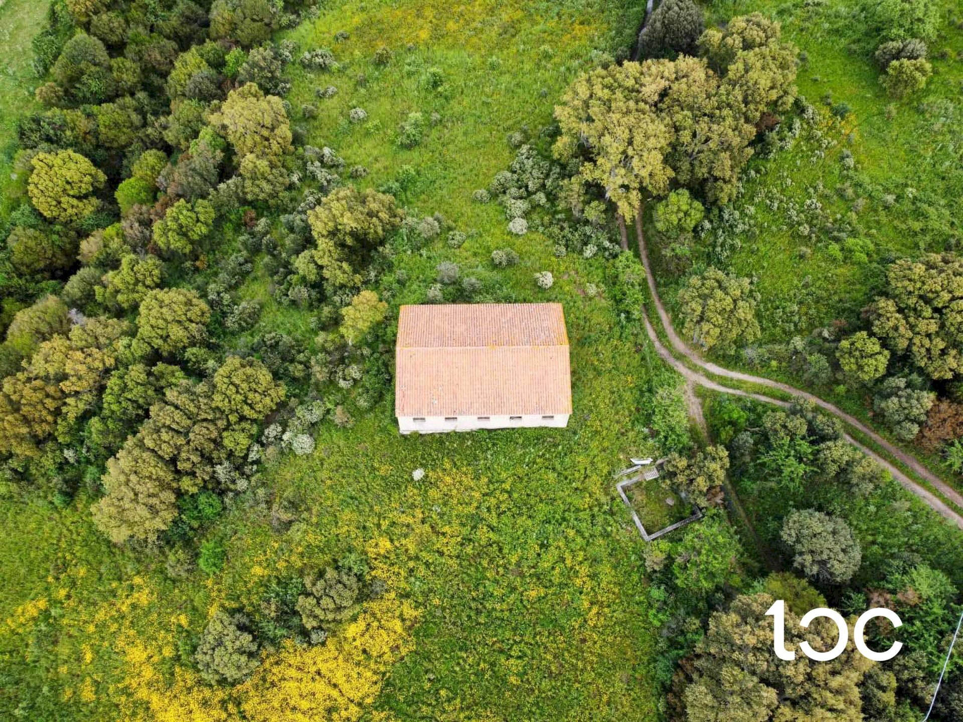 Building land Aggius - photo 2