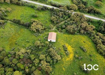 Terreno edificabile Aggius - foto 1
