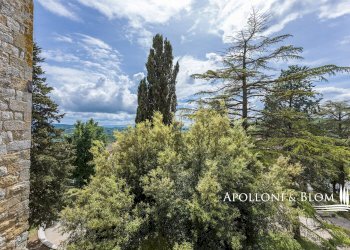 Villa Unifamiliare via Fedro Bandini, 1, Torrita di Siena - foto 26