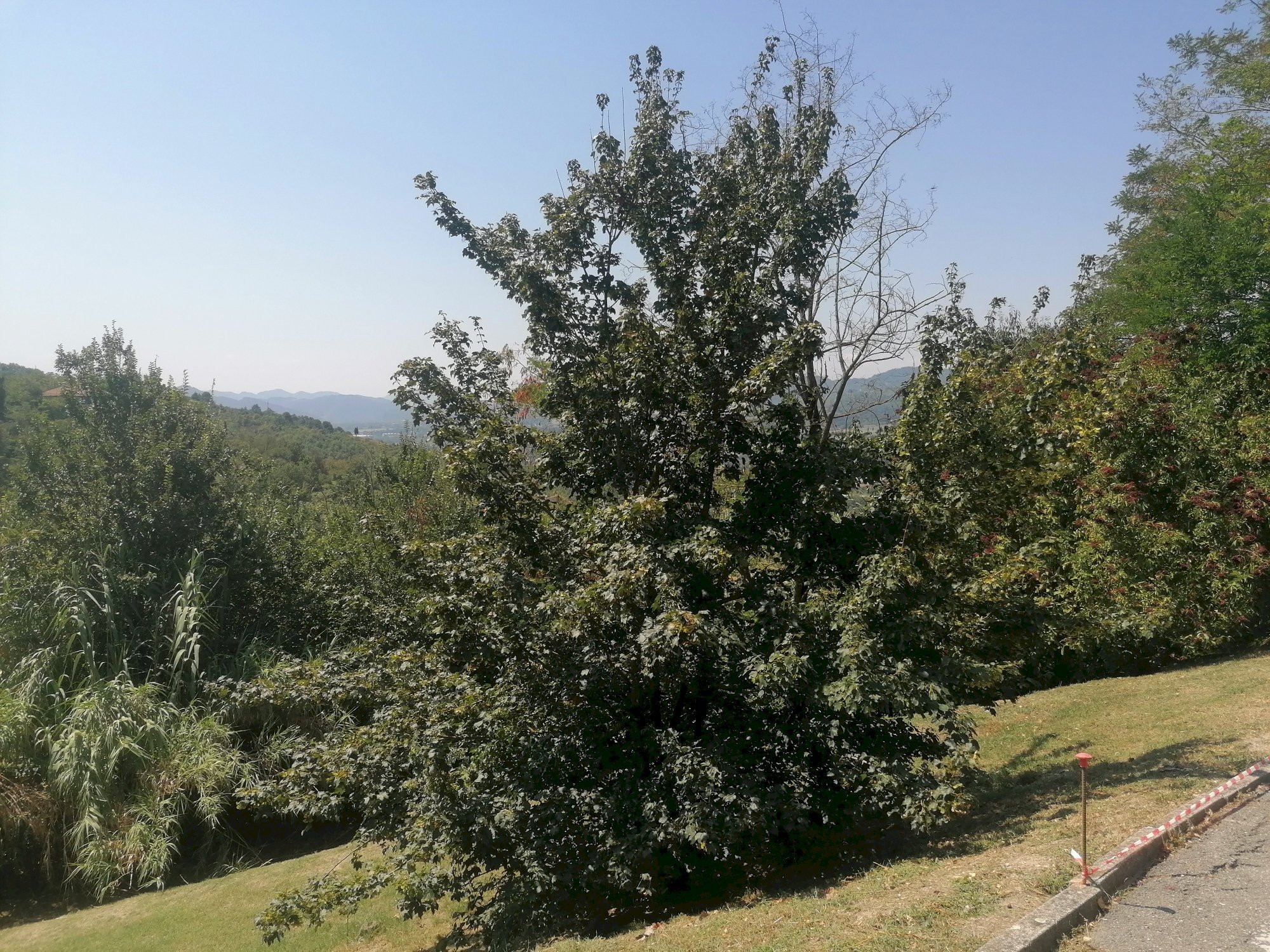 Quadrilocale Via Gessaroli, Bologna (zona Colli) - foto 3