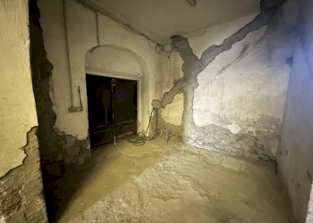 Terratetto - Terracielo Montelupo Fiorentino - foto 34