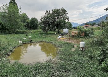 Independent house Via Montebracco, Sanfront - photo 34