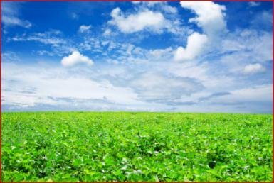 Terreno agricolo Carmagnola - foto 1