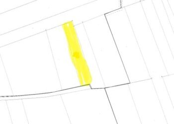 Terreno agricolo Carmagnola - foto 3