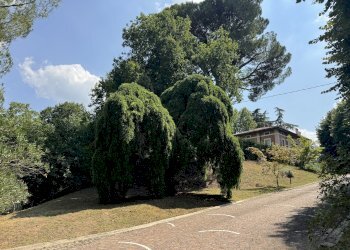 Villa via Montebello, San Lazzaro di Savena - foto 47