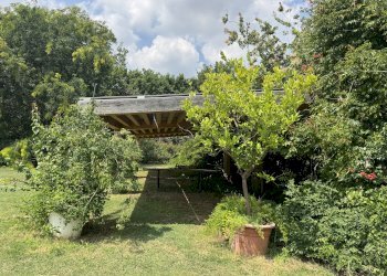GIARDINO - Appartamento in Villa via Montebello, San Lazzaro di Savena - foto 7