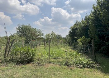 GIARDINO - Appartamento in Villa via Montebello, San Lazzaro di Savena - foto 11