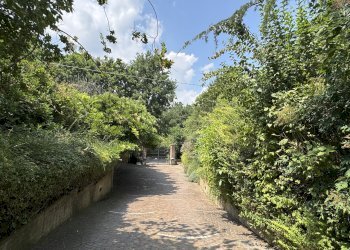 DETTAGLI - Appartamento in Villa via Montebello, San Lazzaro di Savena - foto 37