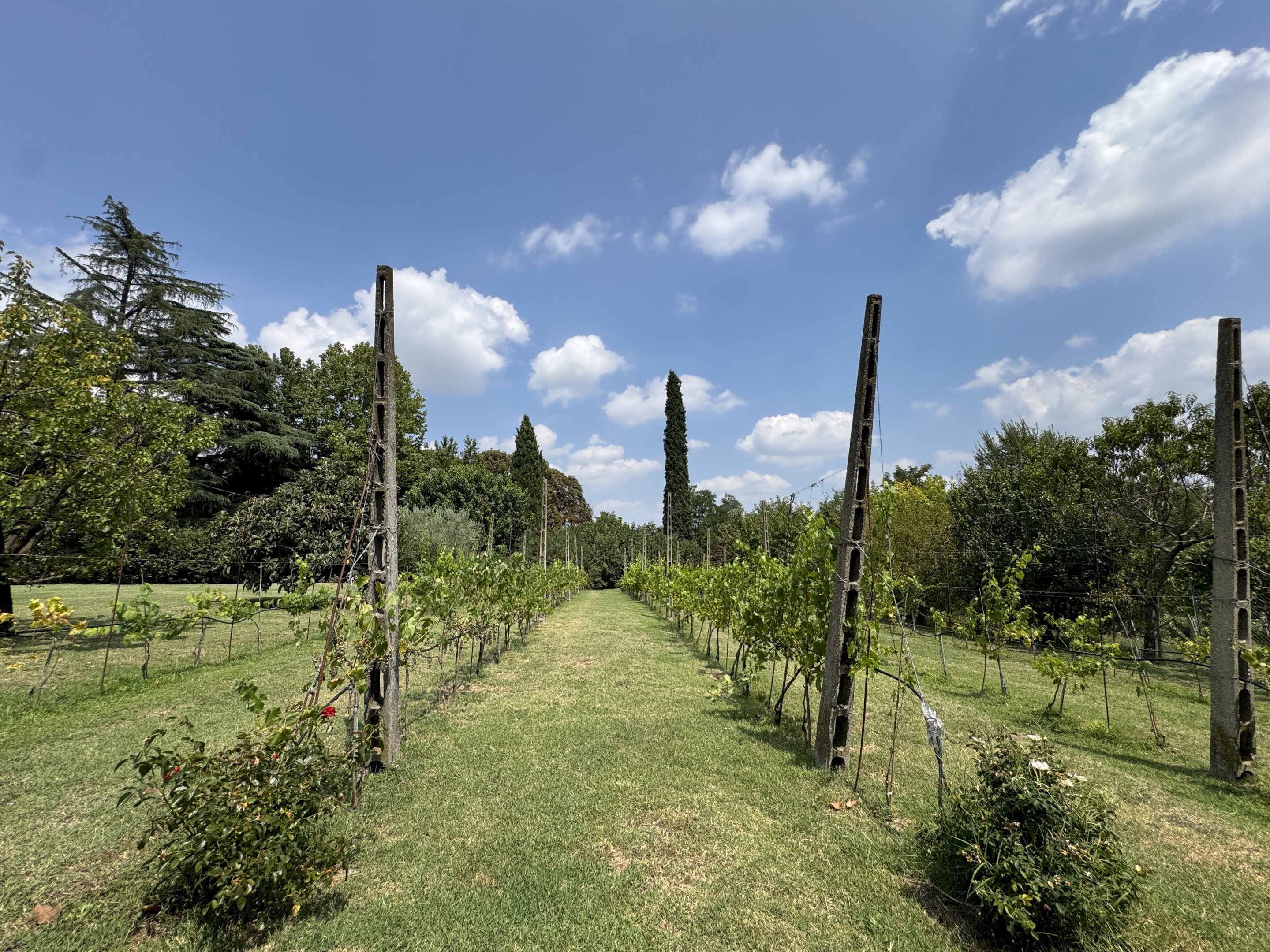 VIGNETO - Appartamento in Villa via Montebello, San Lazzaro di Savena - foto 3