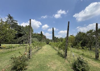 VIGNETO - Appartamento in Villa via Montebello, San Lazzaro di Savena - foto 3