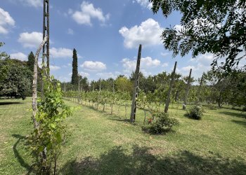 VIGNETO - Appartamento in Villa via Montebello, San Lazzaro di Savena - foto 4
