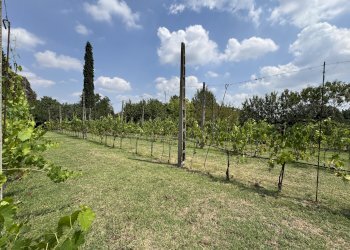 VIGNETO - Appartamento in Villa via Montebello, San Lazzaro di Savena - foto 8