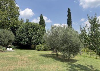 GIARDINO - Appartamento in Villa via Montebello, San Lazzaro di Savena - foto 9