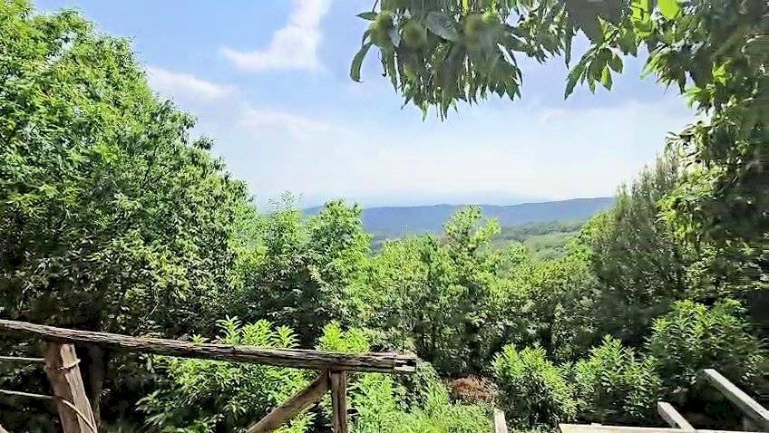 Foto 1 - Rustico Località Pereti, Roccastrada - foto 1