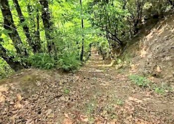 Foto 4 - Rustico Località Pereti, Roccastrada - foto 4