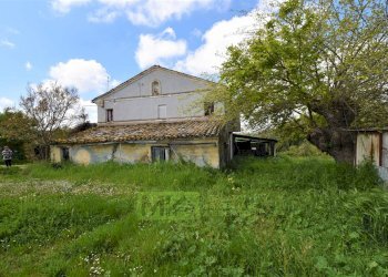 Foto 6 - Independent house Frazione Montefiore
 
136, Recanati - photo 6