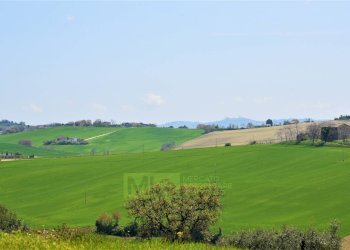 Foto 36 - Independent house Frazione Montefiore
 
136, Recanati - photo 36