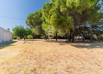 Foto 4 - Villa STRADA VICINALE VECCHIA MATERA
 
501, Gioia del Colle - photo 4