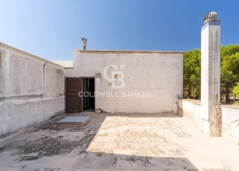 Foto 20 - Villa STRADA VICINALE VECCHIA MATERA
 
501, Gioia del Colle - photo 20