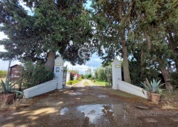 Foto 5 - Rustico Contrada Stornara
 
SN, Ginosa - foto 5