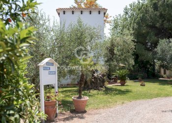 Foto 44 - Rustic Contrada Stornara
 
SN, Ginosa - photo 44