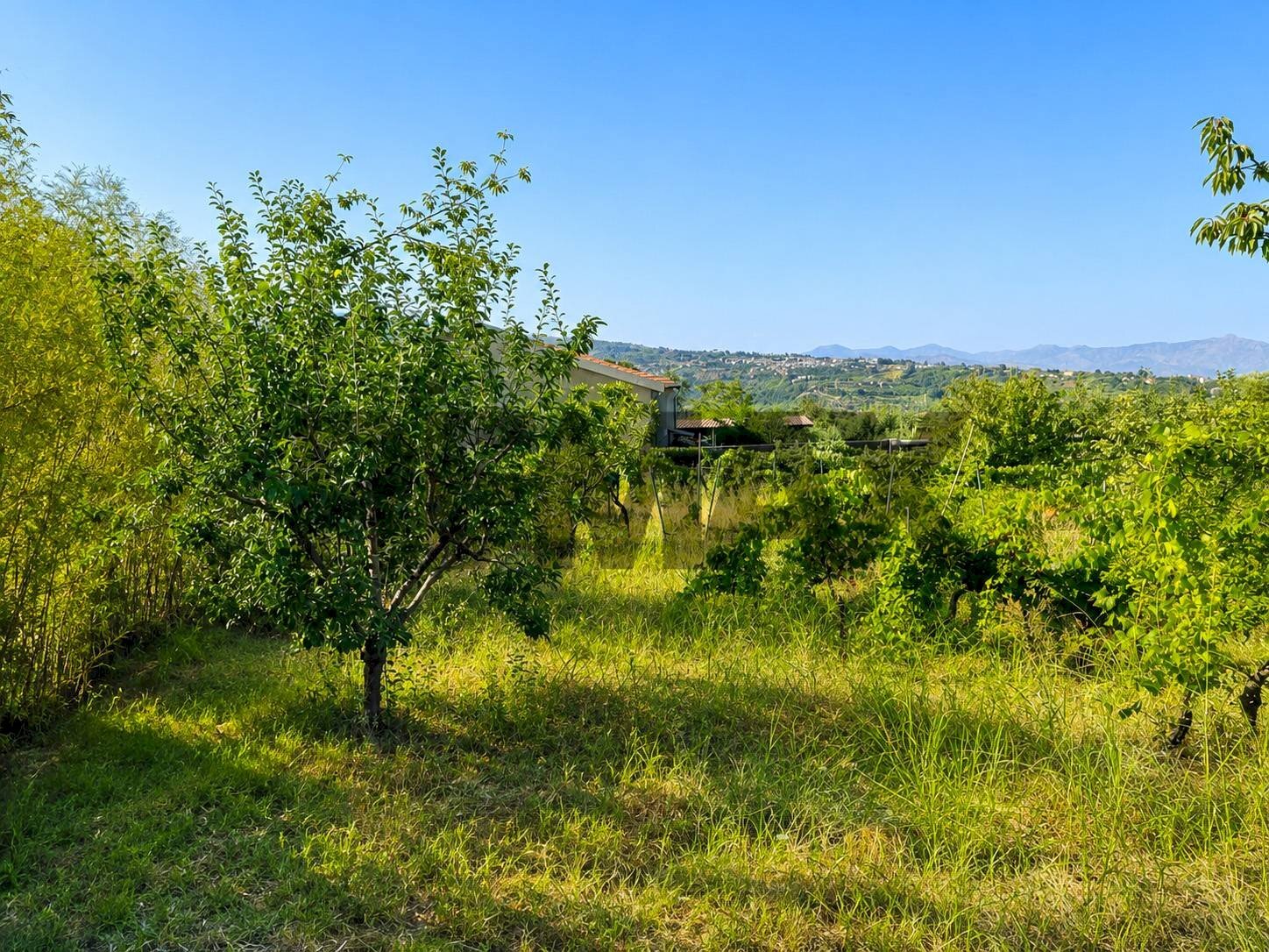 Vista delle montagne - Agricultural land Via Delle Rose
snc, Giarre - photo 2