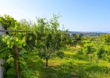 Giardino - Agricultural land Via Delle Rose
snc, Giarre - photo 3