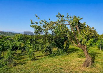 Giardino - Agricultural land Via Delle Rose
snc, Giarre - photo 4