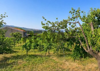 Giardino - Agricultural land Via Delle Rose
snc, Giarre - photo 8