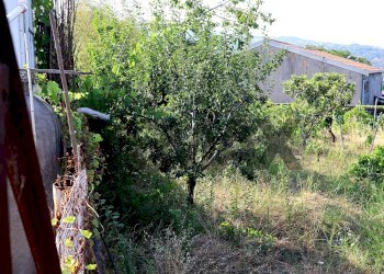 Giardino - Agricultural land Via Delle Rose
snc, Giarre - photo 11