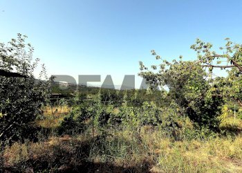 Vista delle montagne - Agricultural land Via Delle Rose
snc, Giarre - photo 16