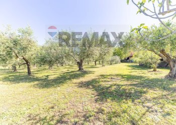 Giardino - Villa VIA CASTAGNOLE
 
13, Marino - photo 7