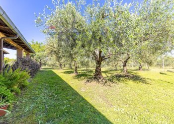 Giardino - Villa VIA CASTAGNOLE
 
13, Marino - photo 64