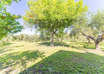 Giardino - Villa VIA CASTAGNOLE
 
13, Marino - photo 66