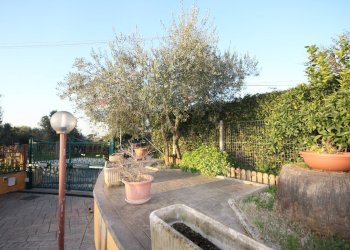 Giardino - Semi-detached house Via Vigne Di San Matteo
26, Roma - photo 14
